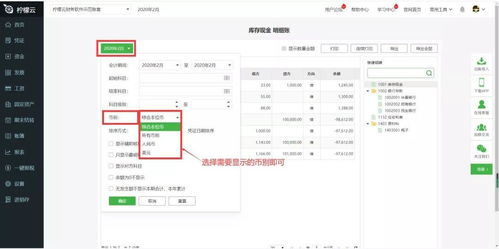 檸檬云財(cái)務(wù)軟件常見賬簿問題與解決指南